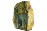 Free-Standing, Gary Green Jasper (Larsonite) Bog Wood - Oregon #334796-1